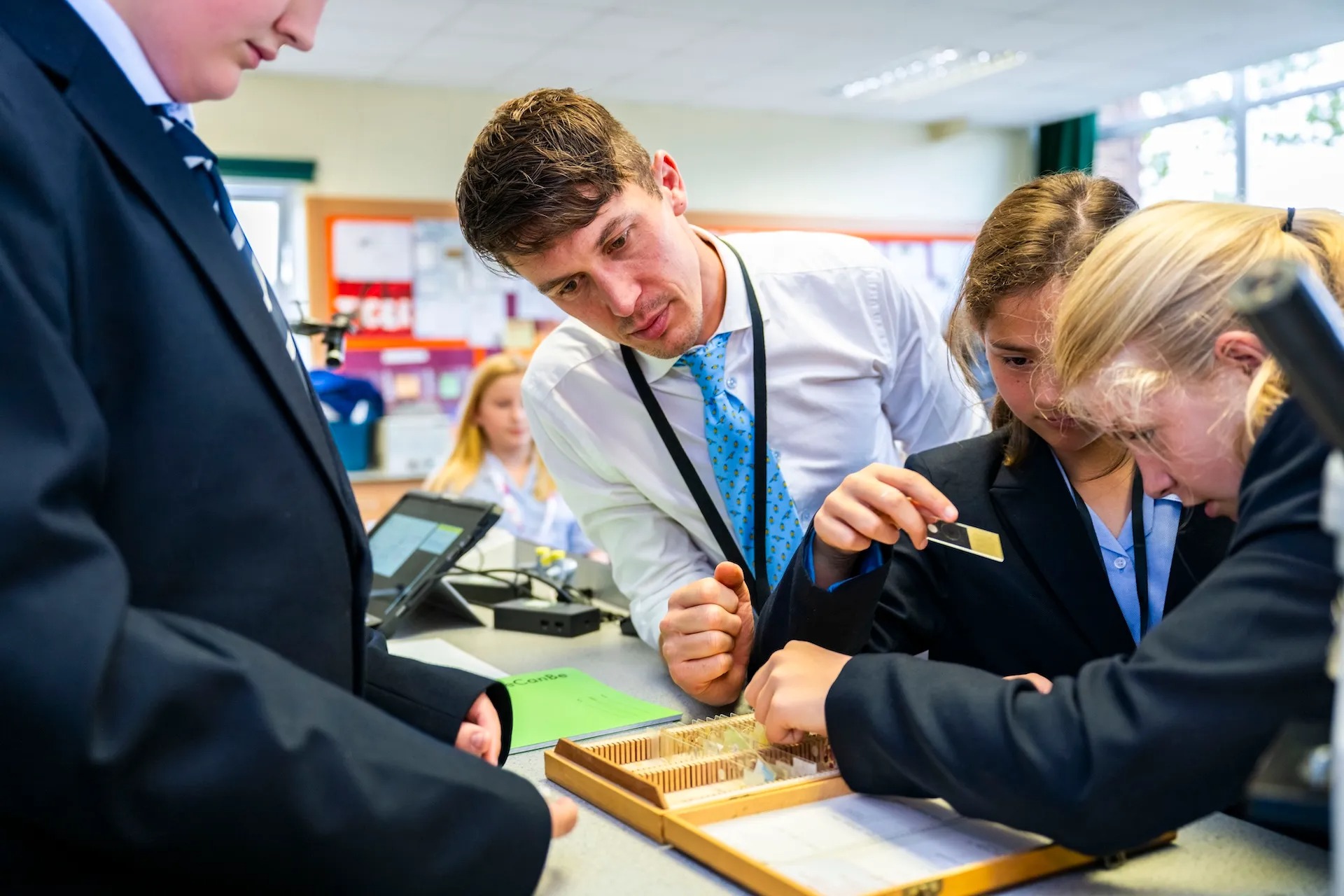Discover Alleyn's