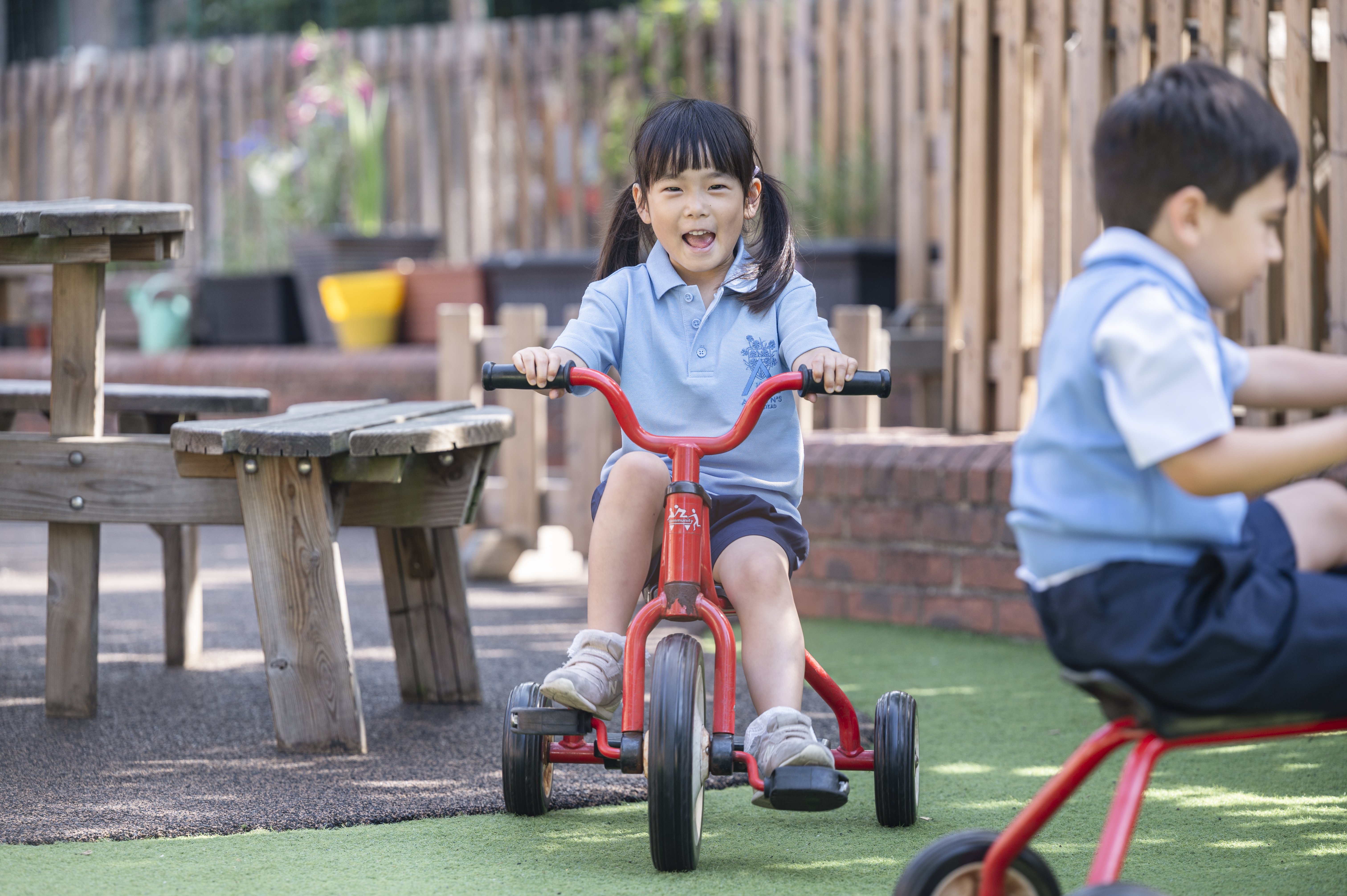Discover Alleyn's